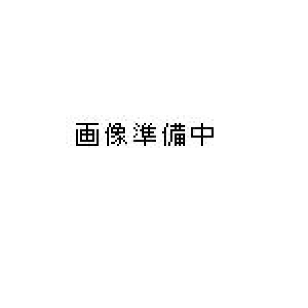 画像1: 若田硯　15.5cm×25cm (1)