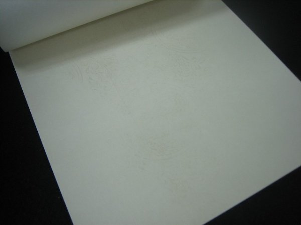 画像2: 色紙箋　高級仮名用No.105 (2)