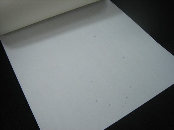 画像5: 色紙箋　高級仮名用No.105 (5)