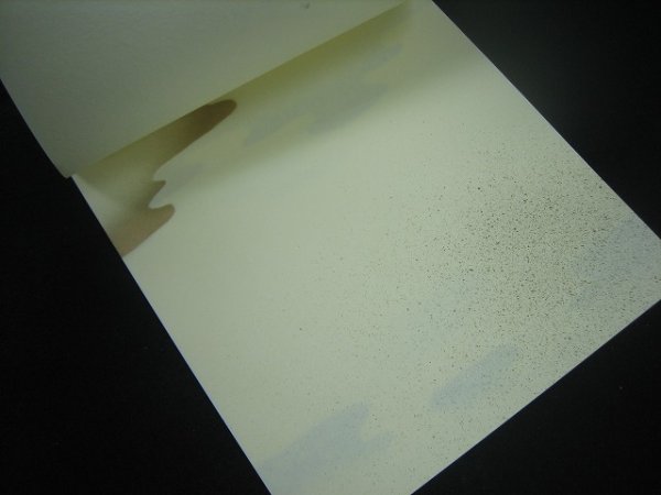 画像3: 色紙箋　高級仮名用No.102 (3)