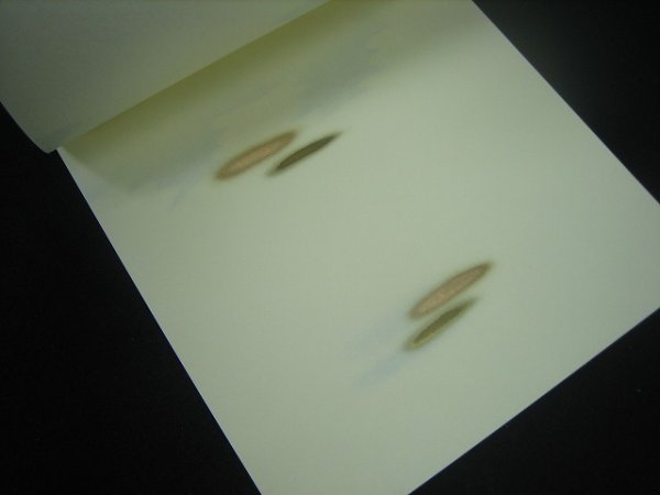 画像5: 色紙箋　高級仮名用No.102 (5)