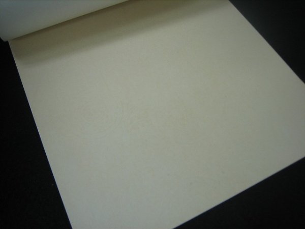 画像3: 色紙箋　高級仮名用No.105 (3)