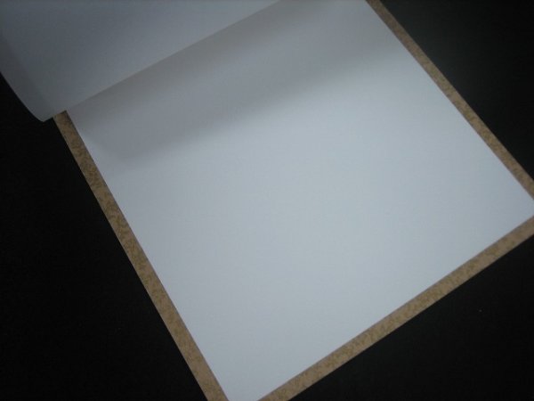 画像4: 色紙箋　遠州 (4)