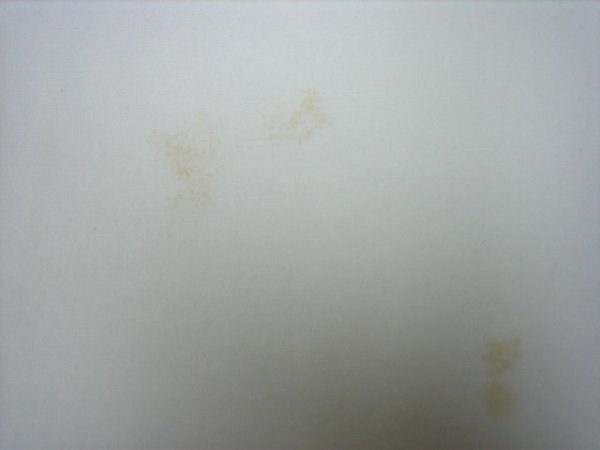 画像4: 汪六吉　別製　四尺単宣　半切　（10枚入パック） (4)