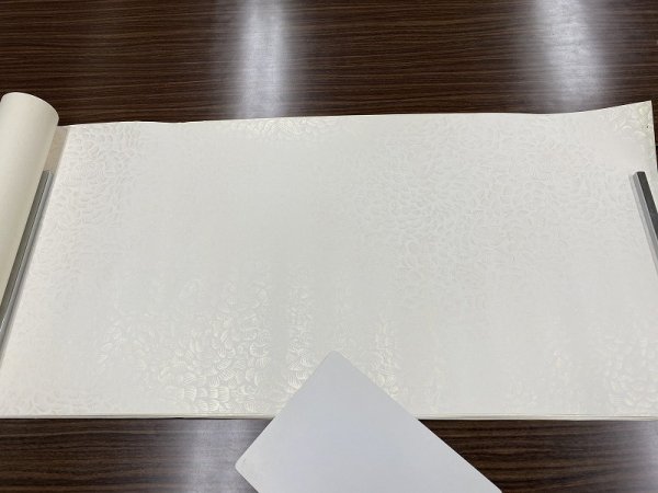 画像5: 全体金型打 具引 白 半切 (5)