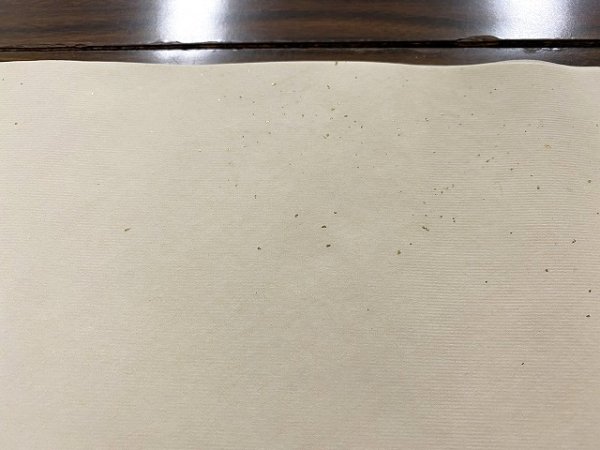 画像2: 楮紙No.15　オード　1尺×3尺　（10枚入） (2)