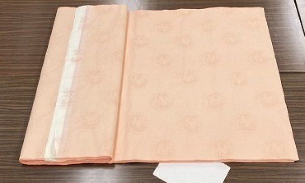 画像2: 同色紋型打大　サーモンピンク　2.3尺×6尺　（5枚） (2)