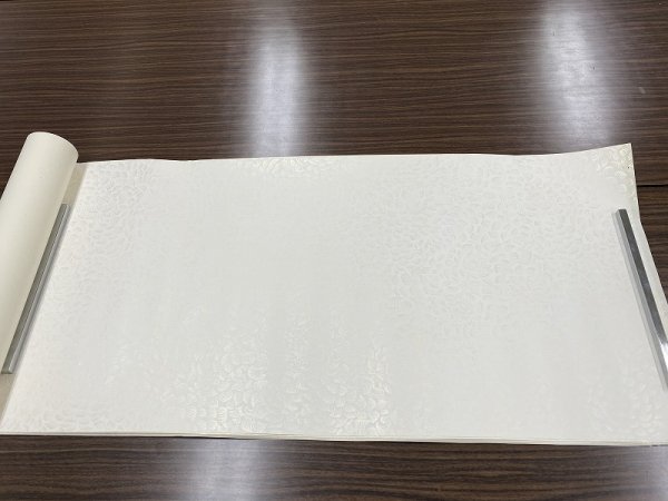 画像2: 全体金型打 具引 白 半切 (2)