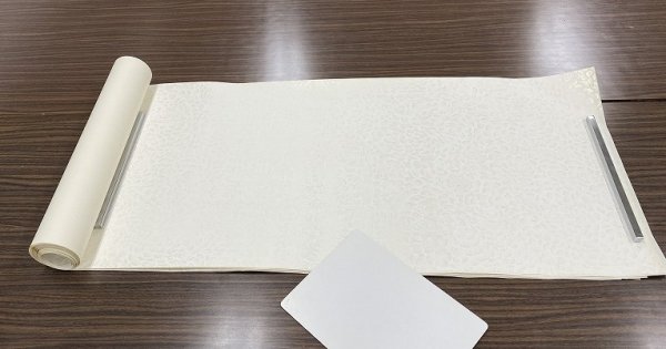 画像4: 全体金型打 具引 白 半切 (4)