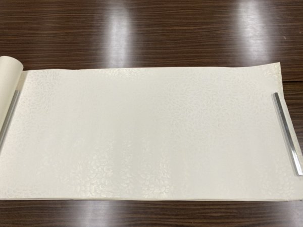 画像3: 全体金型打 具引 白 半切 (3)