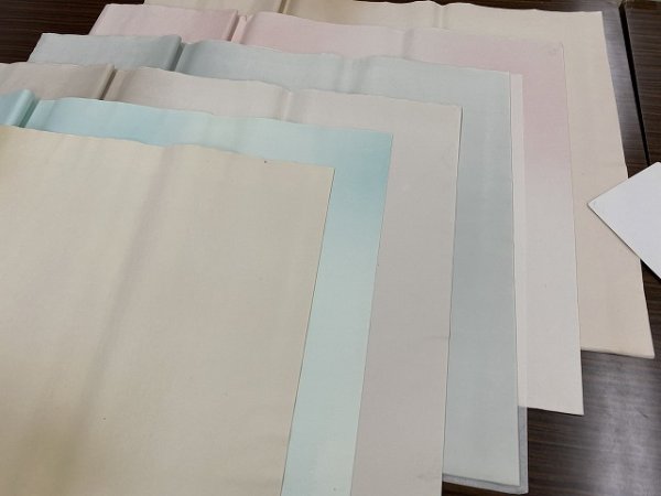 画像11: 玉椿　全体ボカシ　No.207　ピンク　2尺×6尺　（5枚） (11)