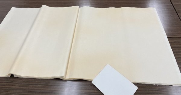 画像3: 汪六吉牌夾宣　澱粉加工　老梅ボカシ　2尺×6尺　（5枚） (3)