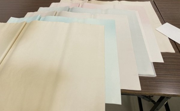 画像10: 玉椿　全体ボカシ　No.207　ピンク　2尺×6尺　（5枚） (10)