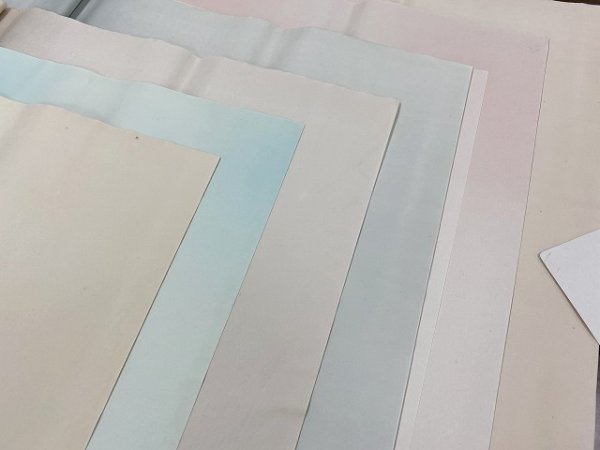 画像7: 玉椿　全体ボカシ　No.207　ピンク　2尺×6尺　（5枚） (7)