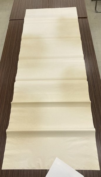 画像4: 玉椿　全体ボカシ　No.202　ベージュ　2尺×6尺　（5枚） (4)