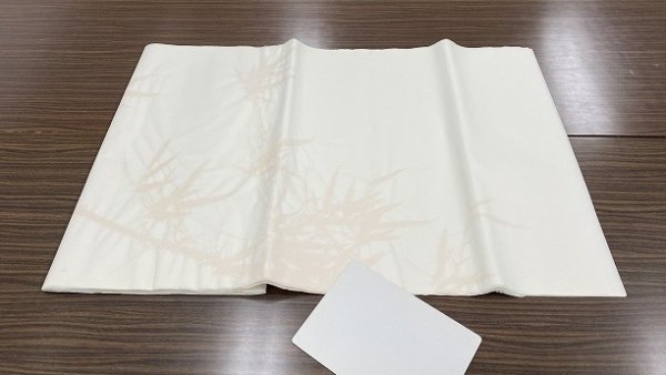 画像2: 本画仙　竹柄　朱　1.75尺×7.5尺 (2)