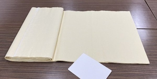 画像2: 全体柄　No.16-3　シルバー打　オード　1.75尺×7.5尺 (2)