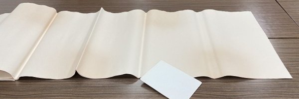 画像2: 玉椿No.209　全体ボカシ　アカネ　1.75尺×7.5尺 (2)