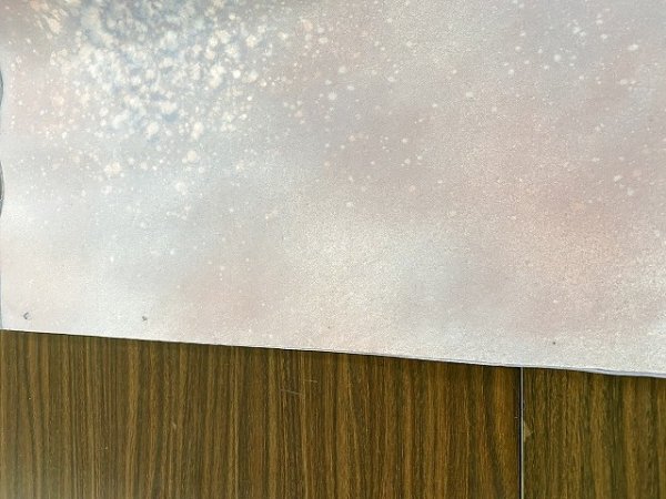 画像3: 虹彩No.3 赤系 全紙 (5枚) (3)