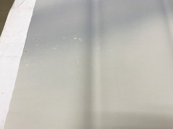 画像9: 新鳥三色ボカシ金銀切箔砂子振　No.1　2尺×6尺　（5枚） (9)