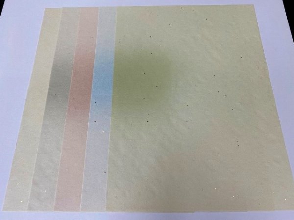 画像2: 源氏紙　半懐紙 (2)