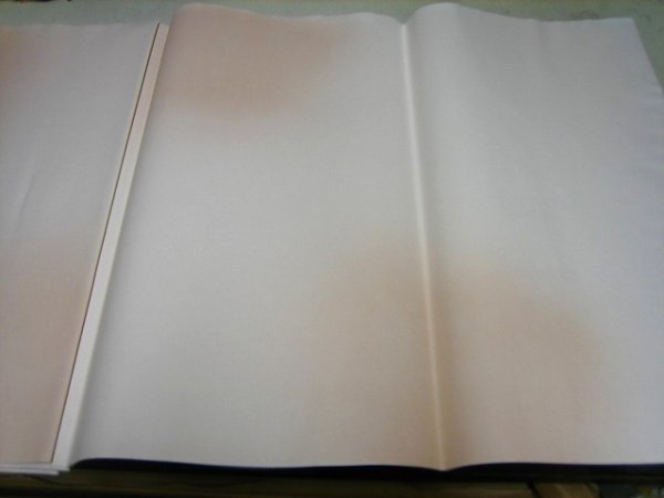 画像6: 玉椿No.209　全体ボカシ　アカネ　1.75尺×7.5尺 (6)