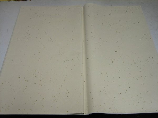 画像2: 色画仙　金振　黄土　1.75尺×7.5尺 (2)