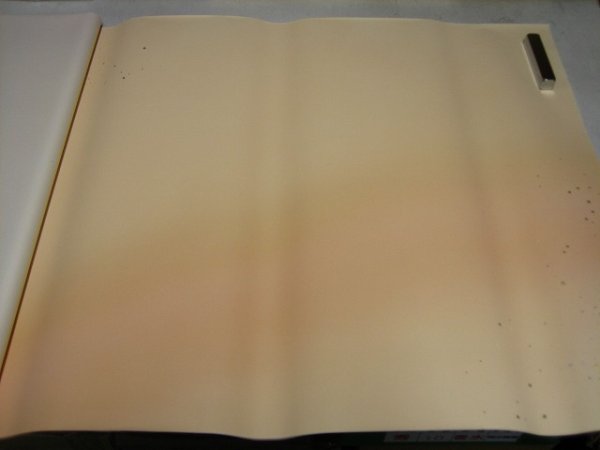 画像5: 新鳥三色ボカシ金銀切箔砂子振 No.4 2尺×6尺 (5枚) (5)